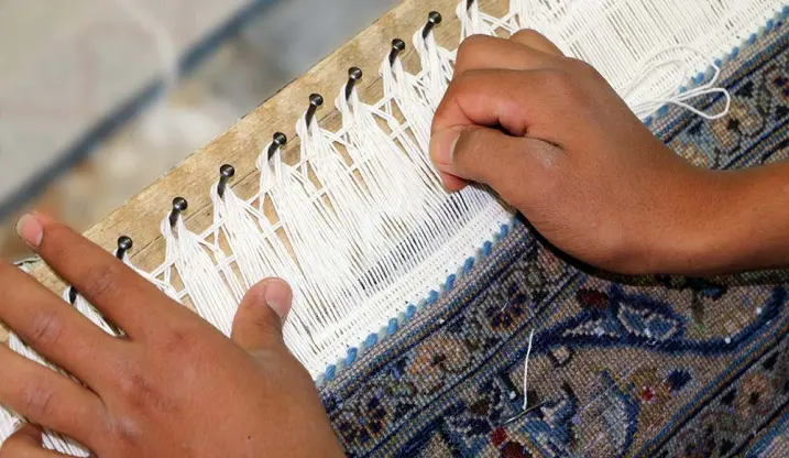 ریشه زنی